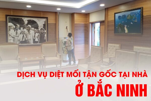 Diệt mối tận gốc tại nhà ở Bắc Ninh - Bảo về ngôi nhà và sức khỏe của bạn