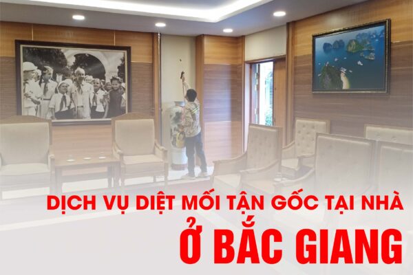 Công ty diệt mối tận gốc tại nhà ở Bắc Giang - Cam kết hiệu quả 100% diệt sạch mối mới nhận tiền