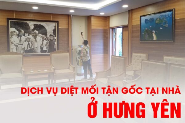 Công ty diệt mối tận gốc tại nhà ở Hưng Yên - Cam kết diệt sạch hết mối mới nhận tiền